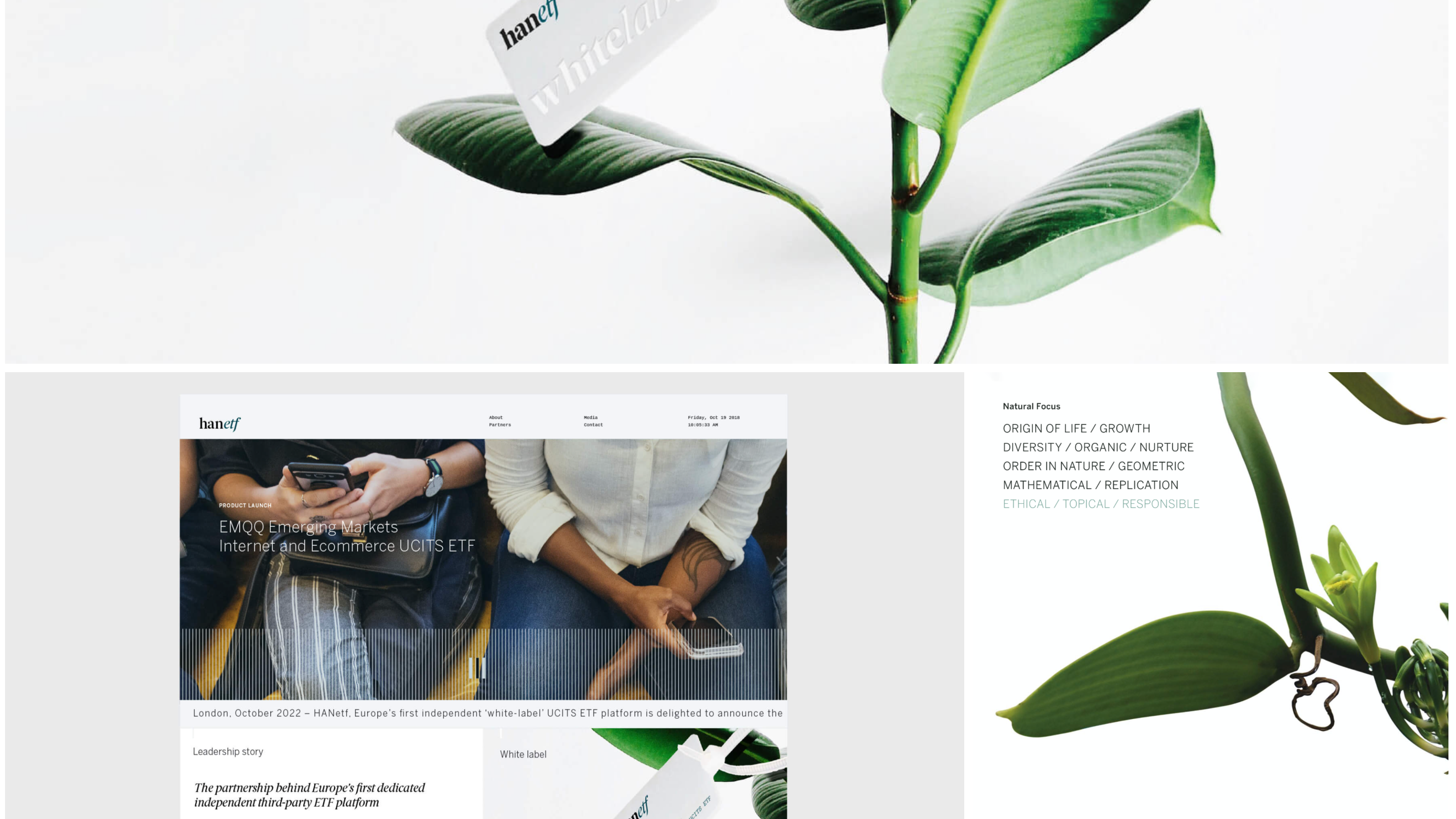 new financial product digital marketing case study cover