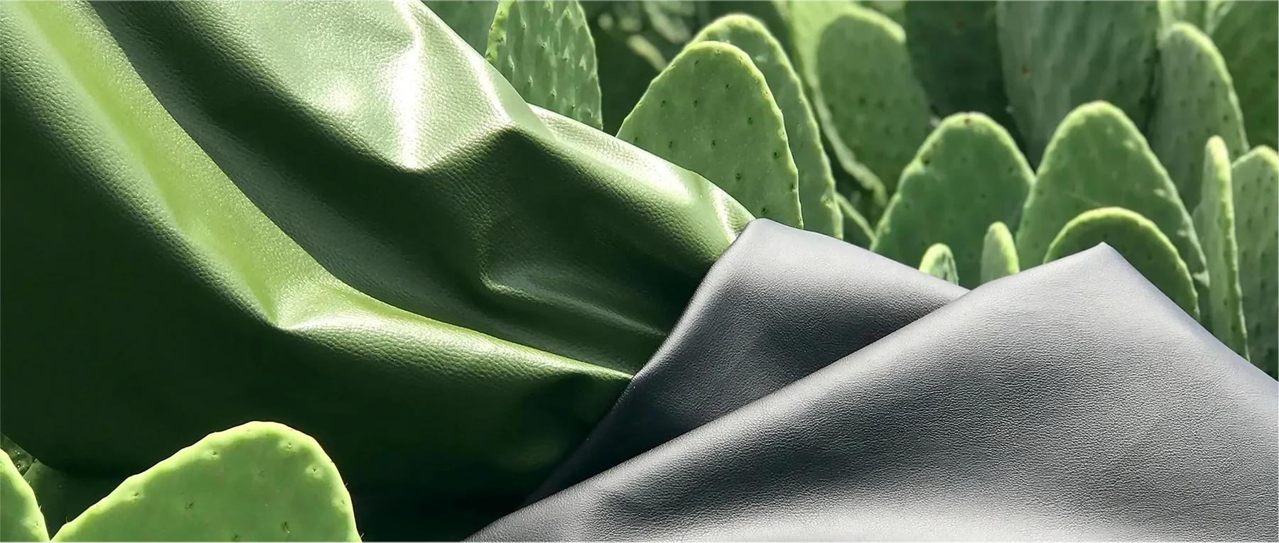 Cuir de Cactus