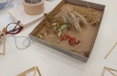 Šiaudinių sodų edukacijos