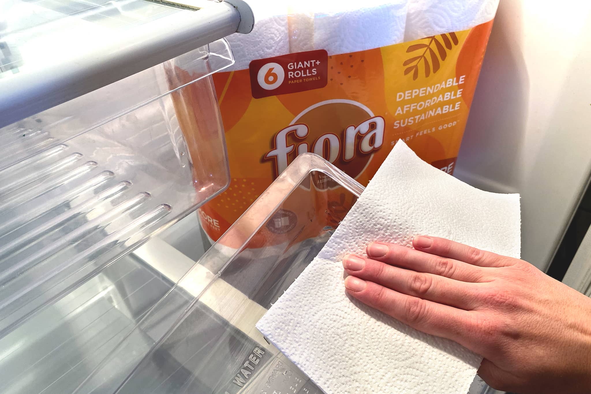 Fiora cleans fridges