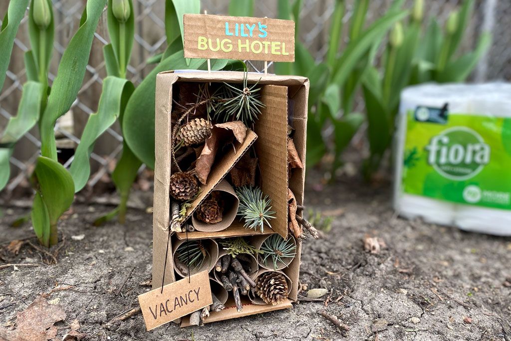 June Bug Hotel