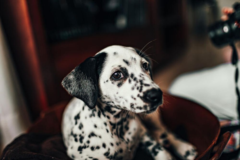 Cover for Ne Travaillez Jamais