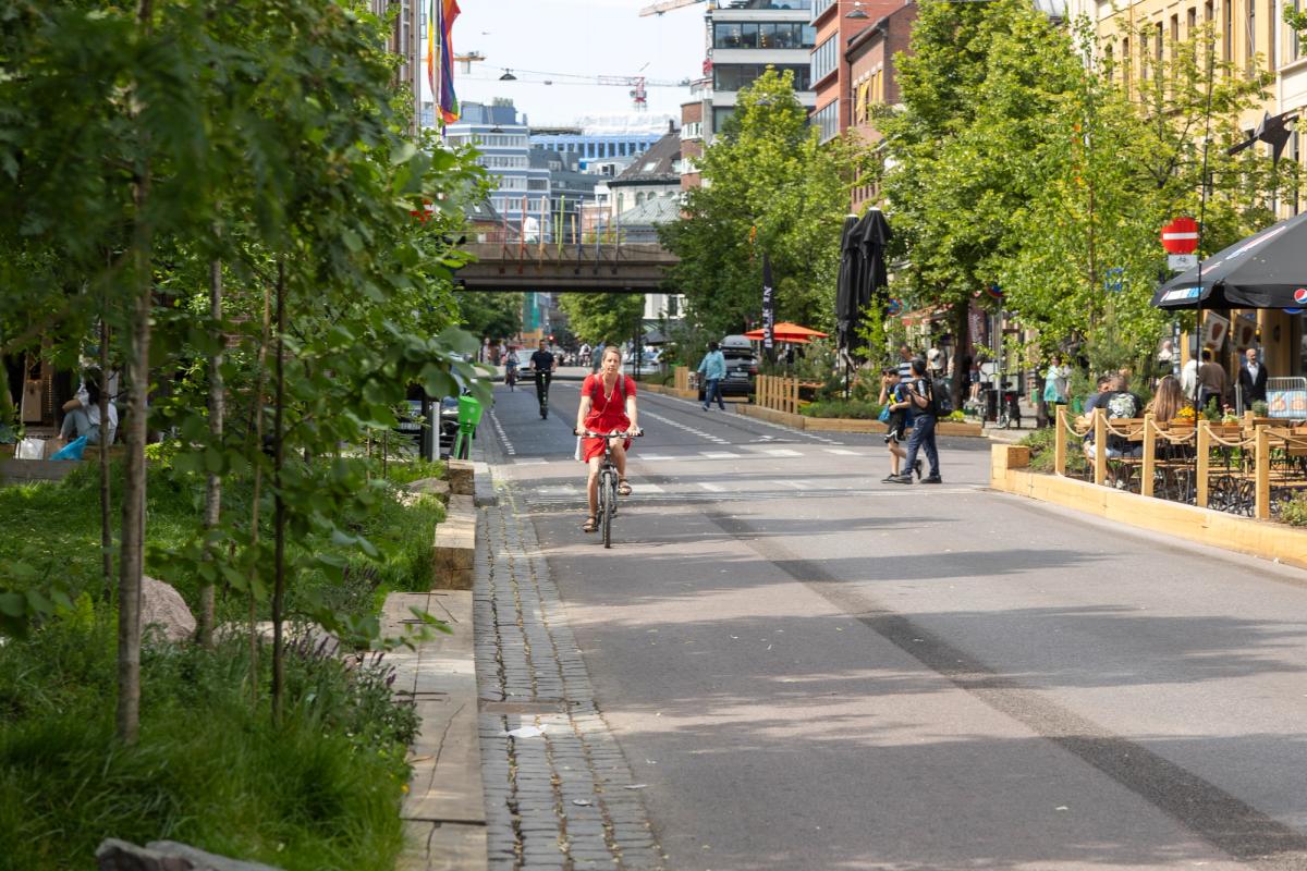 Årets Høydepunkt: Bylivsgata Grønland