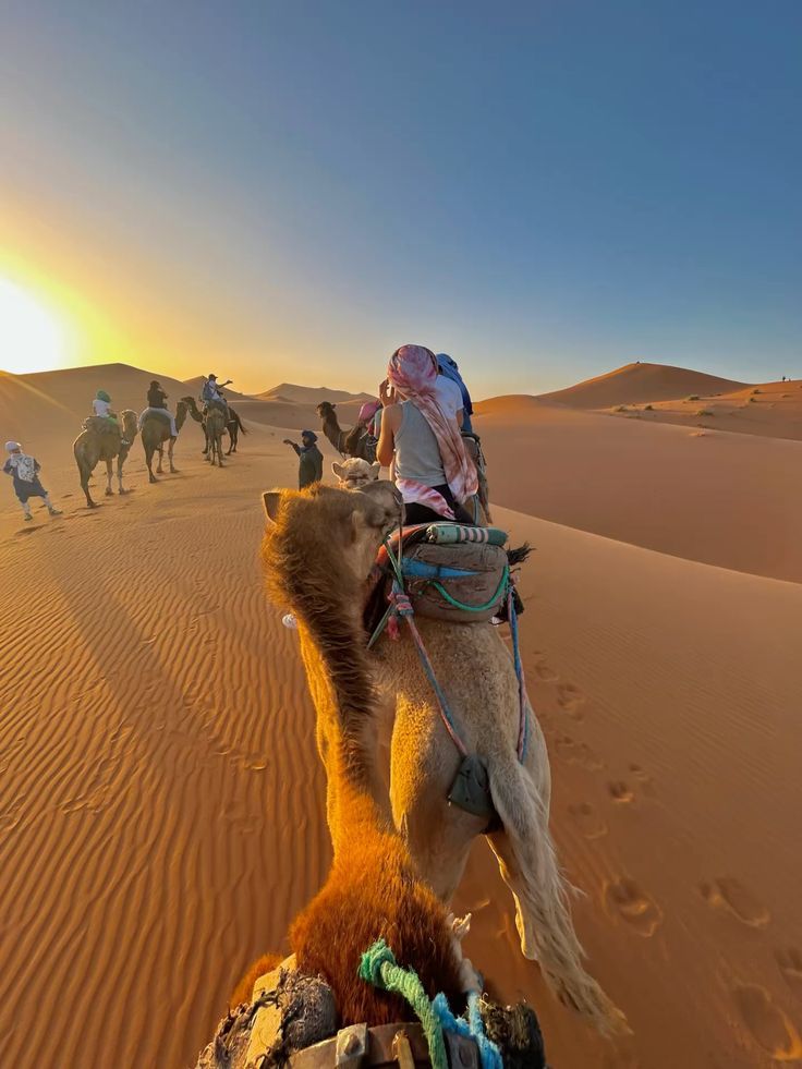 Safari Adventure in Massa