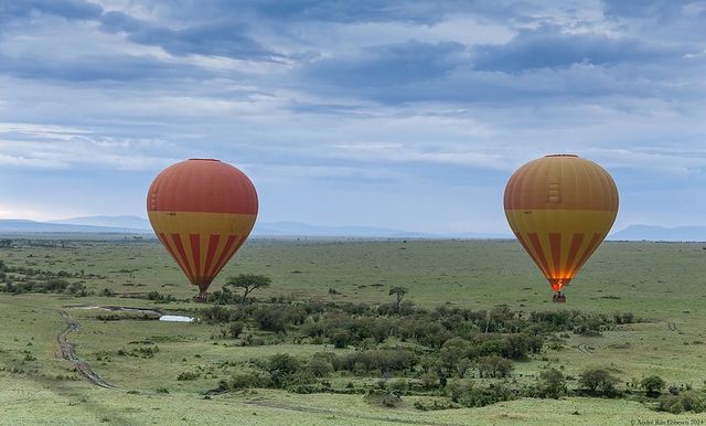 Maasai-Mara Hot Air Balloon Safari