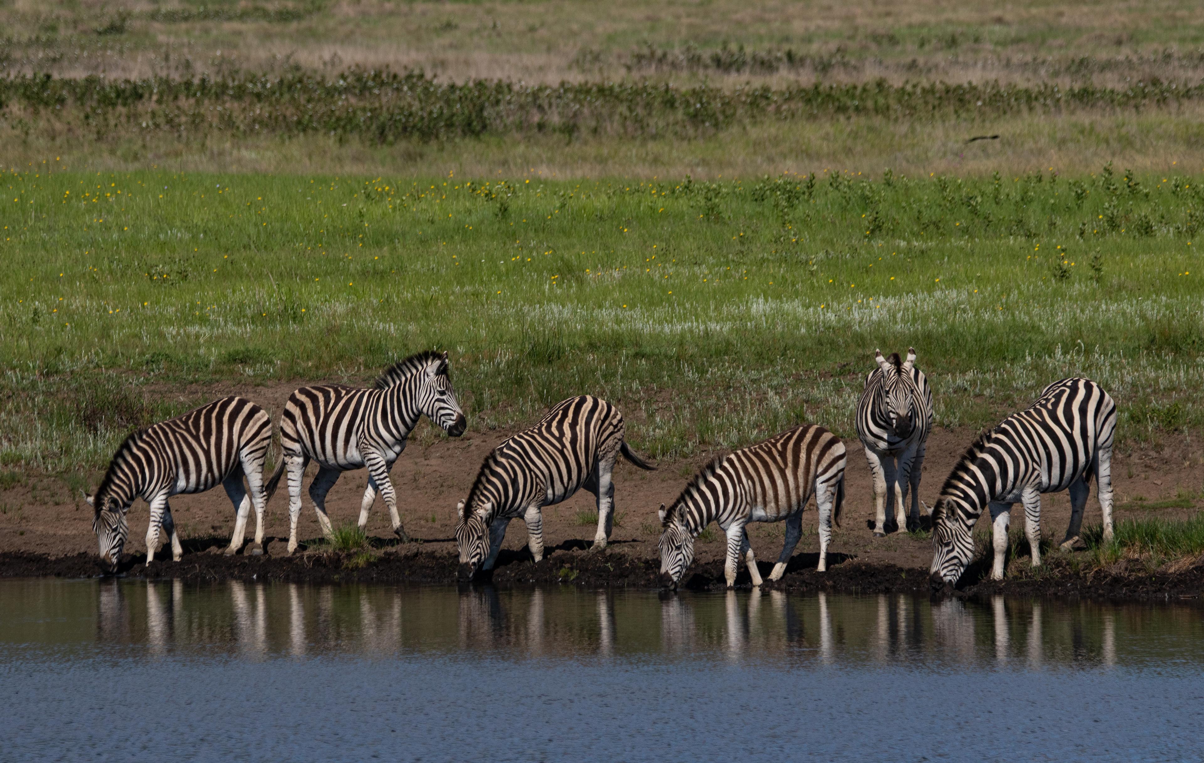 Tanzania