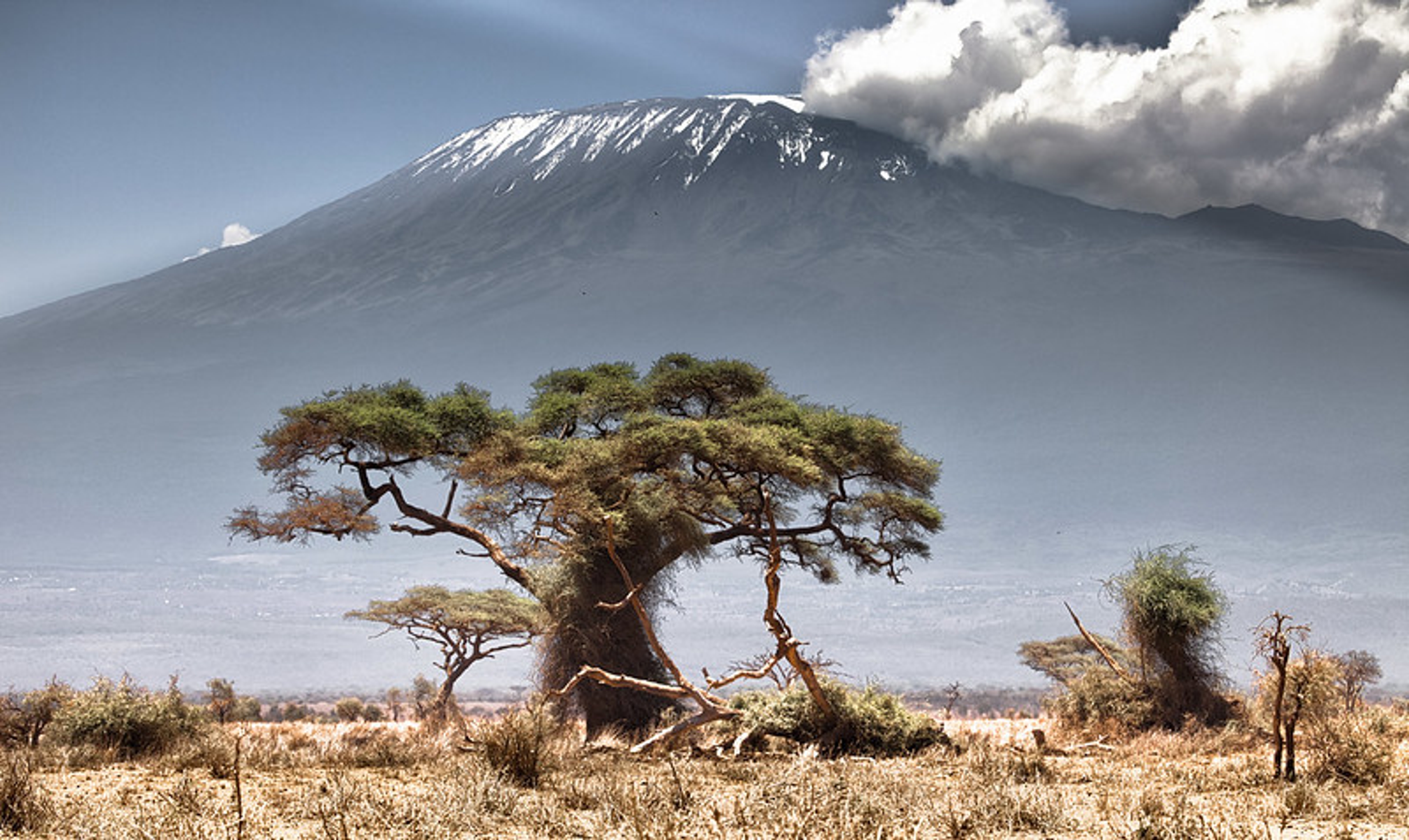 7 Days Mount Kilimanjaro Climb