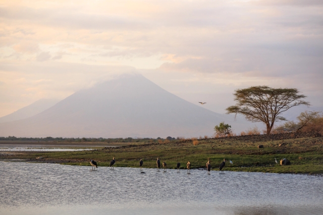 Lake Natron & Ol Doinyo Lengai