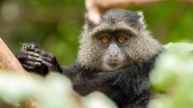 Lake Manyara National Park