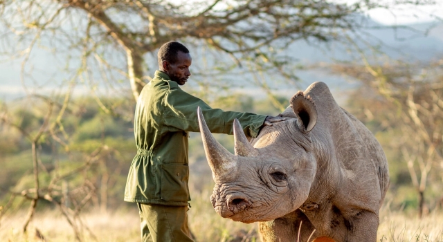 A Day Trip At Nanyuki Oljogi Wildlife Conservancy