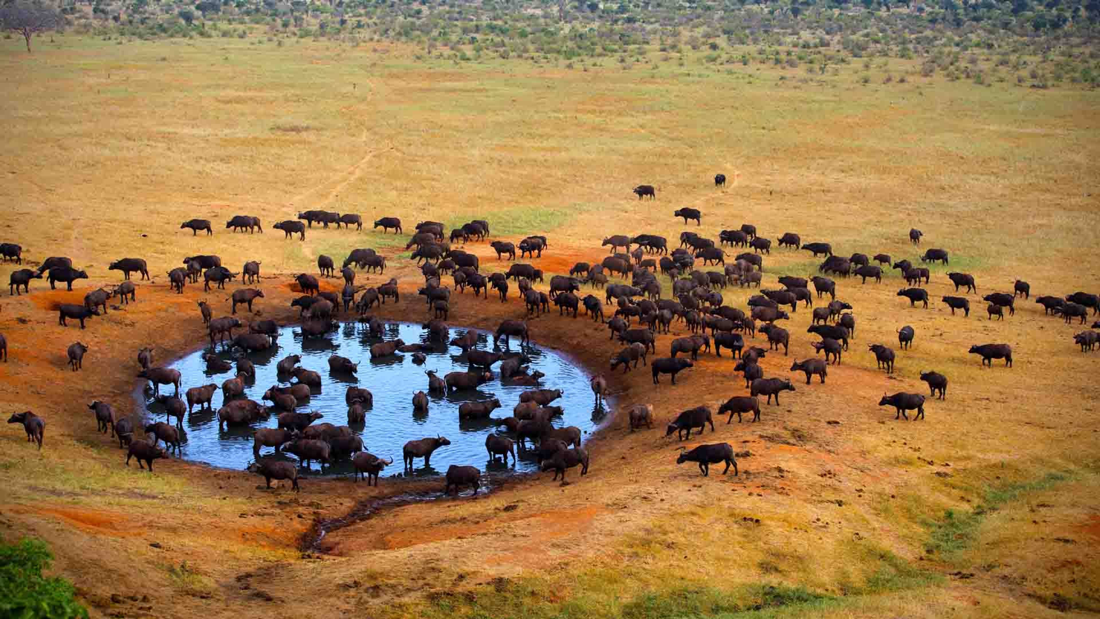 Meru National Park