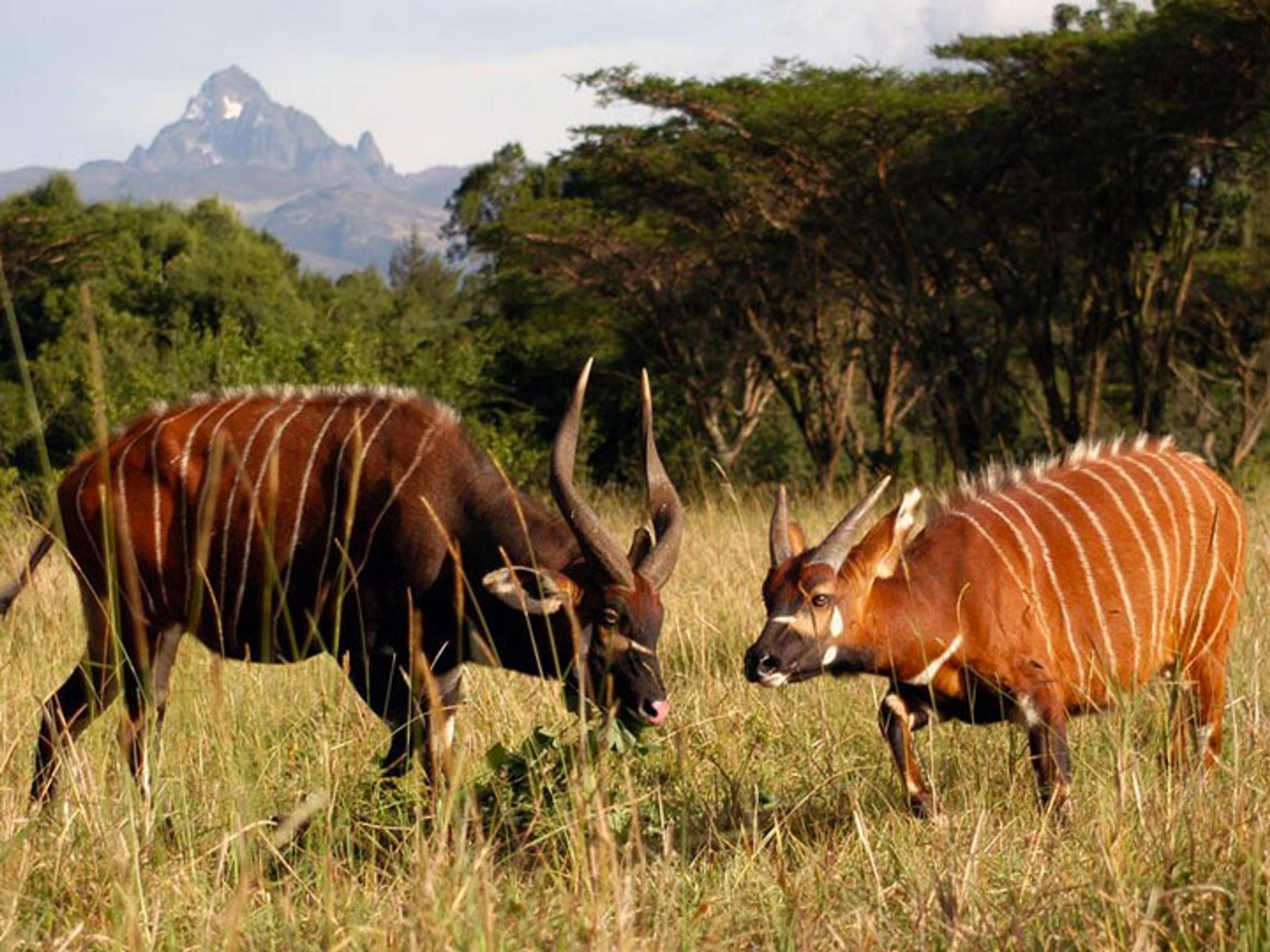 Samburu National Park