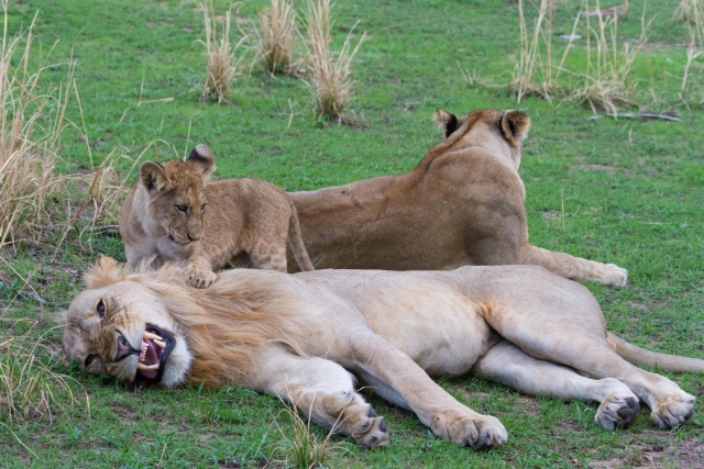 Katavi National Park