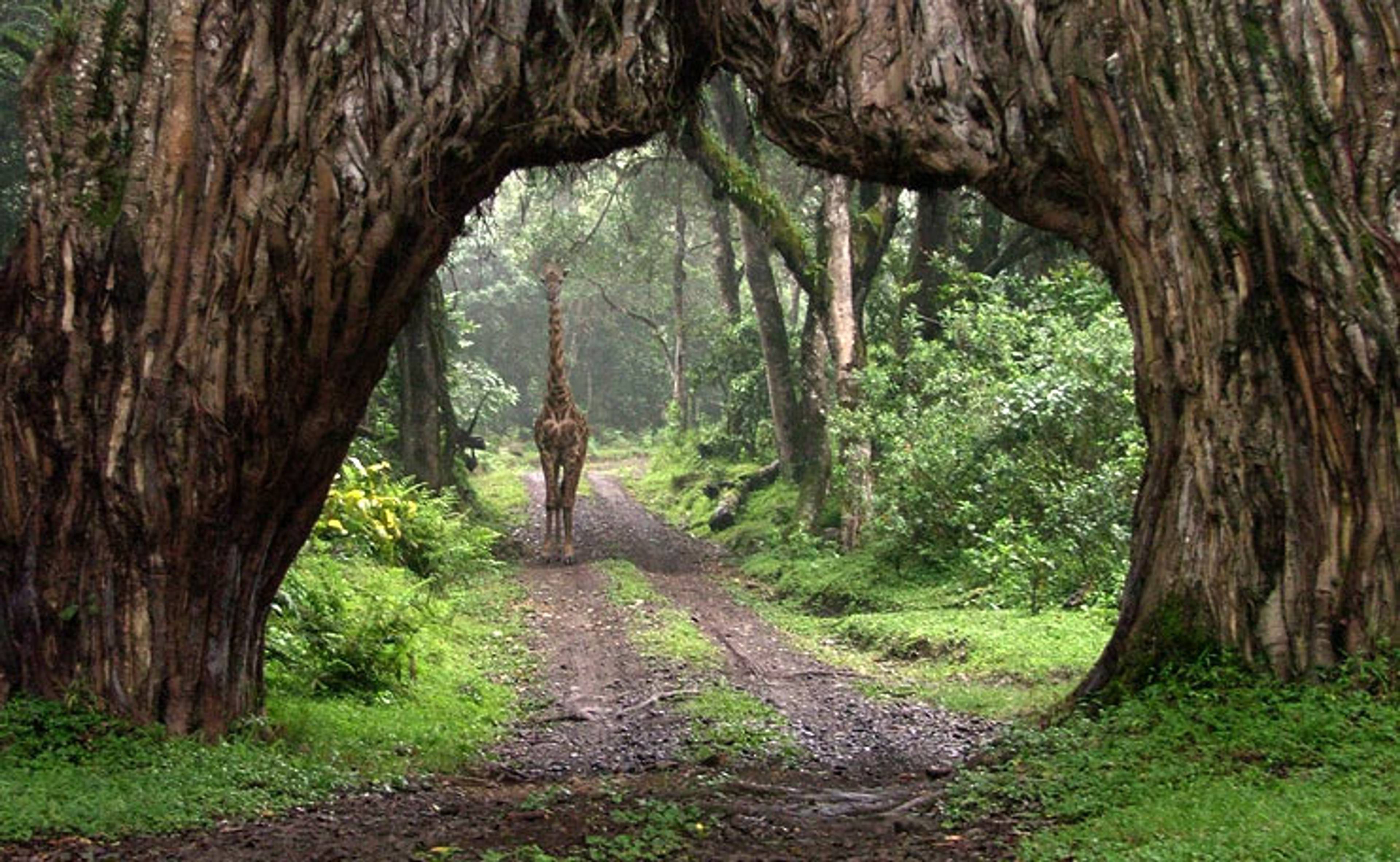 Arusha National Park