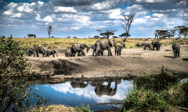 Serengeti National Park