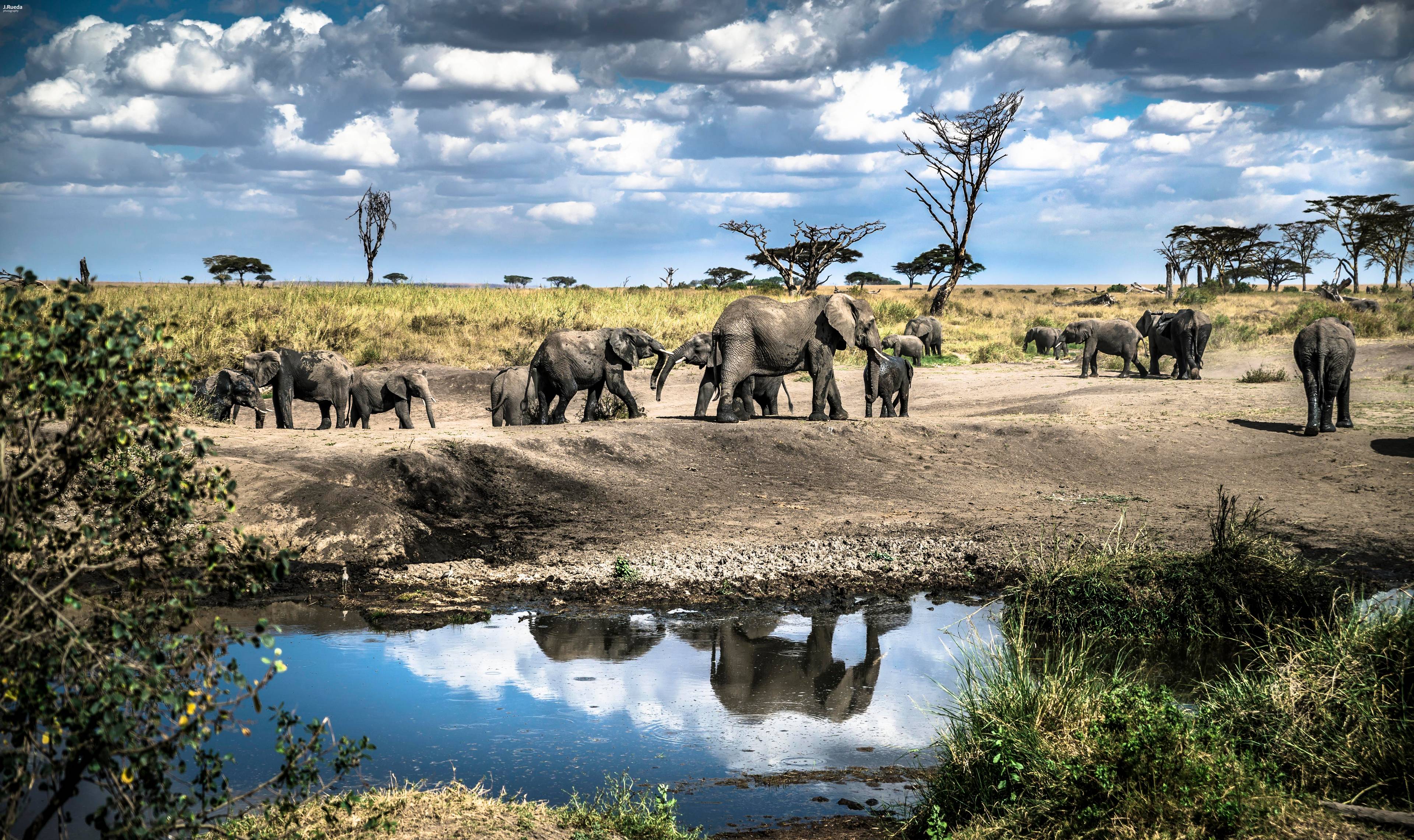 Serengeti National Park
