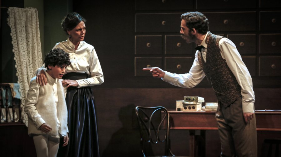 L'Auca del Senyor Esteve