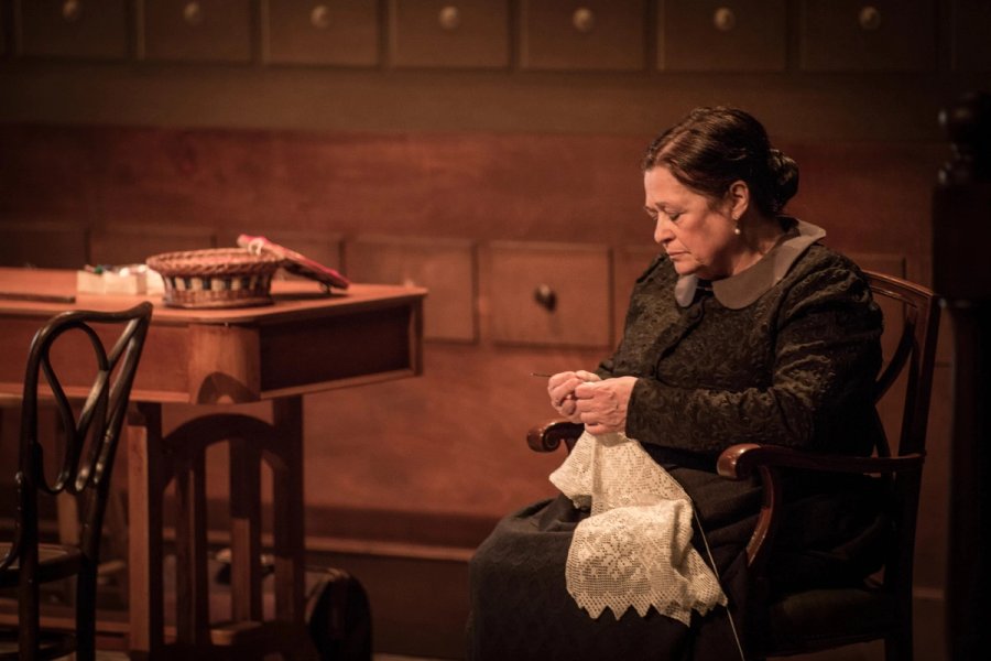 L'Auca del Senyor Esteve