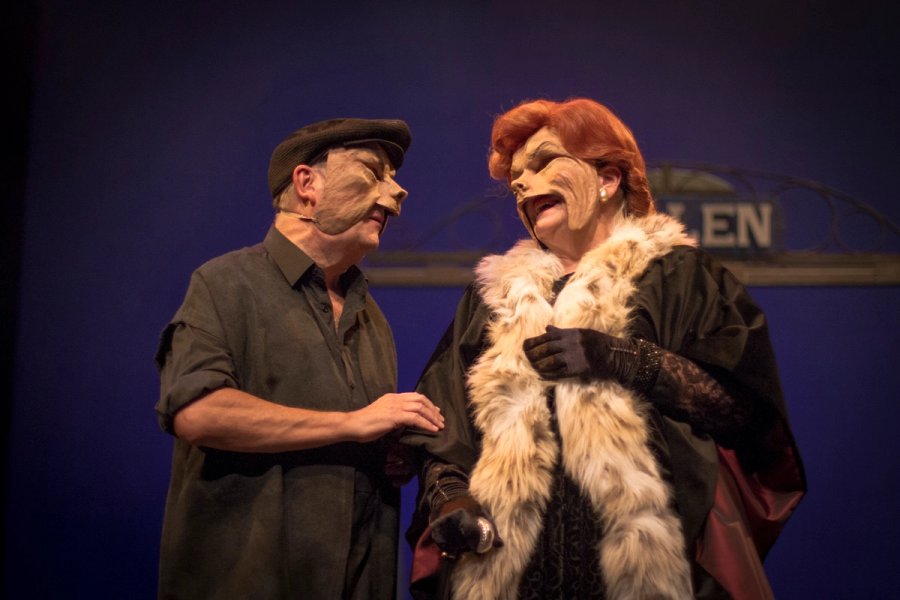 La visita de la vella dama