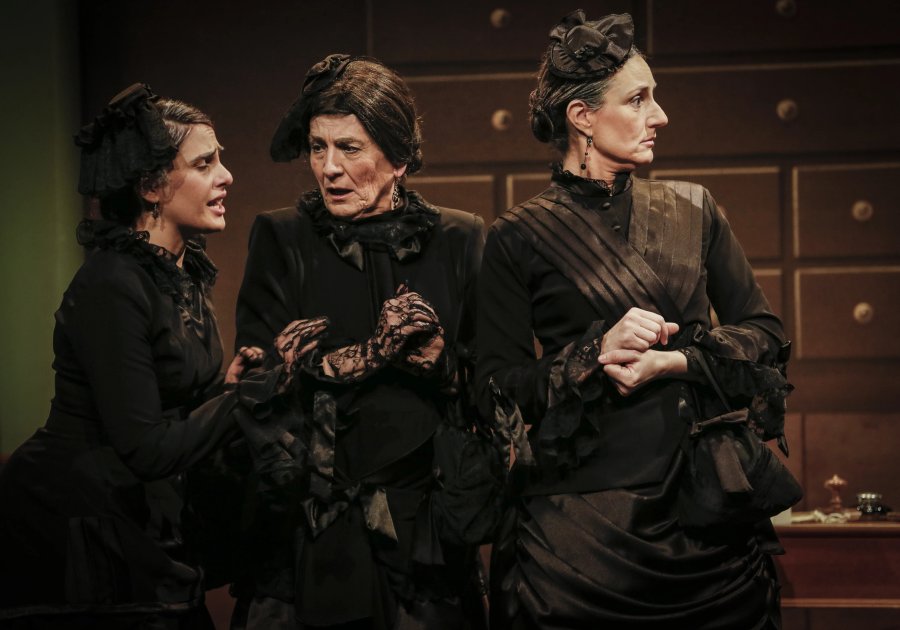 L'Auca del Senyor Esteve