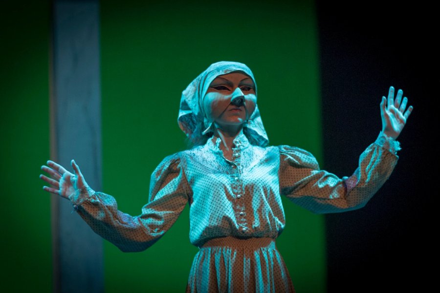 La visita de la vella dama