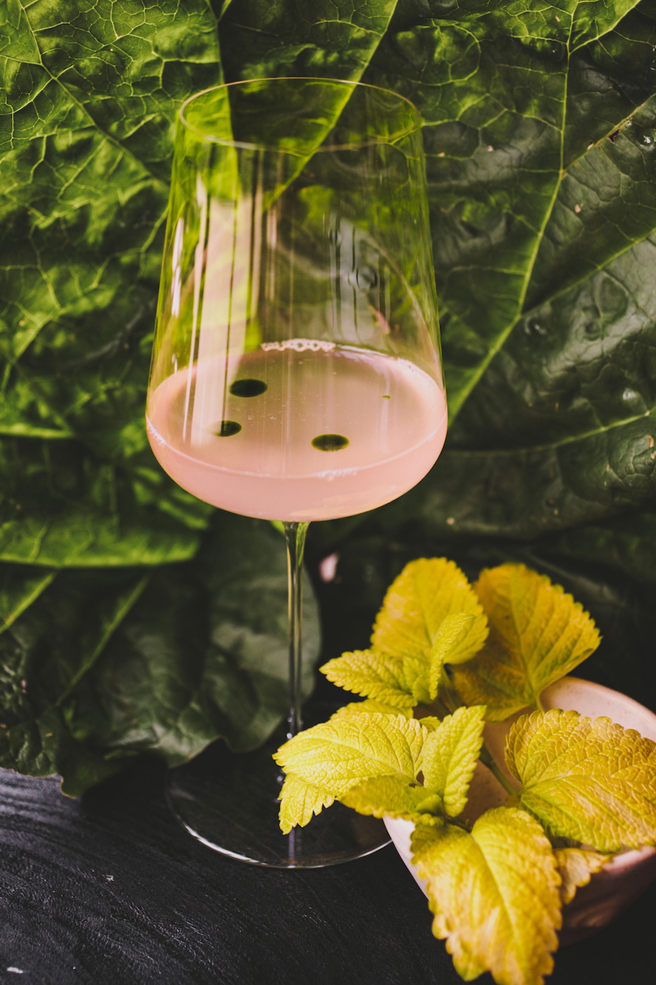 A pink drink with green dots in it next to green and yellow leaves​​​​‌﻿‍﻿​‍​‍‌‍﻿﻿‌﻿​‍‌‍‍‌‌‍‌﻿‌‍‍‌‌‍﻿‍​‍​‍​﻿‍‍​‍​‍‌﻿​﻿‌‍​‌‌‍﻿‍‌‍‍‌‌﻿‌​‌﻿‍‌​‍﻿‍‌‍‍‌‌‍﻿﻿​‍​‍​‍﻿​​‍​‍‌‍‍​‌﻿​‍‌‍‌‌‌‍‌‍​‍​‍​﻿‍‍​‍​‍‌‍‍​‌﻿‌​‌﻿‌​‌﻿​​​﻿‍‍​‍﻿﻿​‍﻿﻿‌‍﻿​‌‍﻿﻿‌‍​﻿‌‍​‌‌‍﻿​‌‍‍​‌‍﻿﻿‌﻿​﻿‌﻿‌​​﻿‍‍​﻿​﻿​﻿​﻿​﻿​﻿​﻿​﻿​‍﻿﻿‌‍‍‌‌‍﻿‍‌﻿‌​‌‍‌‌‌‍﻿‍‌﻿‌​​‍﻿﻿‌‍‌‌‌‍‌​‌‍‍‌‌﻿‌​​‍﻿﻿‌‍﻿‌‌‍﻿﻿‌‍‌​‌‍‌‌​﻿﻿‌‌﻿​​‌﻿​‍‌‍‌‌‌﻿​﻿‌‍‌‌‌‍﻿‍‌﻿‌​‌‍​‌‌﻿‌​‌‍‍‌‌‍﻿﻿‌‍﻿‍​﻿‍﻿‌‍‍‌‌‍‌​​﻿﻿‌‌‍​‌‌‍‌​​﻿‌​‌‍‌‍​﻿‌﻿​﻿‌​‌‍​‌‌‍​‌​‍﻿‌​﻿​​​﻿‌﻿​﻿‌‌​﻿‌﻿​‍﻿‌​﻿‌​​﻿‌﻿‌‍‌‍​﻿‍‌​‍﻿‌‌‍​‍​﻿​​‌‍‌‌‌‍‌​​‍﻿‌​﻿​​​﻿‍​‌‍​﻿​﻿​​​﻿‌​‌‍‌‍‌‍​‌​﻿‍‌​﻿‌‍‌‍‌​​﻿‌‍​﻿​‍​﻿‍﻿‌﻿‌​‌﻿‍‌‌﻿​​‌‍‌‌​﻿﻿‌‌﻿​​‌‍﻿﻿‌﻿​﻿‌﻿‌​​﻿‍﻿‌﻿​​‌‍​‌‌﻿‌​‌‍‍​​﻿﻿‌‌‍​‍‌‍﻿﻿‌‍‌​‌﻿‍‌​‍‌‌​﻿‌‌‌​​‍‌‌﻿﻿‌‍‍﻿‌‍‌‌‌﻿‍‌​‍‌‌​﻿​﻿‌​‌​​‍‌‌​﻿​﻿‌​‌​​‍‌‌​﻿​‍​﻿​‍‌‍​‌​﻿‌﻿​﻿​‌​﻿‍‌‌‍‌‍‌‍‌‍​﻿‌‍‌‍‌​‌‍​﻿‌‍‌​‌‍‌‍‌‍​﻿​‍‌‌​﻿​‍​﻿​‍​‍‌‌​﻿‌‌‌​‌​​‍﻿‍‌‍​‌‌‍﻿​‌﻿‌​​﻿﻿﻿‌‍​‍‌‍​‌‌﻿​﻿‌‍‌‌‌‌‌‌‌﻿​‍‌‍﻿​​﻿﻿‌‌‍‍​‌﻿‌​‌﻿‌​‌﻿​​​‍‌‌​﻿​﻿‌​​‌​‍‌‌​﻿​‍‌​‌‍​‍‌‌​﻿​‍‌​‌‍‌‍﻿​‌‍﻿﻿‌‍​﻿‌‍​‌‌‍﻿​‌‍‍​‌‍﻿﻿‌﻿​﻿‌﻿‌​​‍‌‌​﻿​﻿‌​​‌​﻿​﻿​﻿​﻿​﻿​﻿​﻿​﻿​‍‌‍‌‍‍‌‌‍‌​​﻿﻿‌‌‍​‌‌‍‌​​﻿‌​‌‍‌‍​﻿‌﻿​﻿‌​‌‍​‌‌‍​‌​‍﻿‌​﻿​​​﻿‌﻿​﻿‌‌​﻿‌﻿​‍﻿‌​﻿‌​​﻿‌﻿‌‍‌‍​﻿‍‌​‍﻿‌‌‍​‍​﻿​​‌‍‌‌‌‍‌​​‍﻿‌​﻿​​​﻿‍​‌‍​﻿​﻿​​​﻿‌​‌‍‌‍‌‍​‌​﻿‍‌​﻿‌‍‌‍‌​​﻿‌‍​﻿​‍​‍‌‍‌﻿‌​‌﻿‍‌‌﻿​​‌‍‌‌​﻿﻿‌‌﻿​​‌‍﻿﻿‌﻿​﻿‌﻿‌​​‍‌‍‌﻿​​‌‍​‌‌﻿‌​‌‍‍​​﻿﻿‌‌‍​‍‌‍﻿﻿‌‍‌​‌﻿‍‌​‍‌‌​﻿‌‌‌​​‍‌‌﻿﻿‌‍‍﻿‌‍‌‌‌﻿‍‌​‍‌‌​﻿​﻿‌​‌​​‍‌‌​﻿​﻿‌​‌​​‍‌‌​﻿​‍​﻿​‍‌‍​‌​﻿‌﻿​﻿​‌​﻿‍‌‌‍‌‍‌‍‌‍​﻿‌‍‌‍‌​‌‍​﻿‌‍‌​‌‍‌‍‌‍​﻿​‍‌‌​﻿​‍​﻿​‍​‍‌‌​﻿‌‌‌​‌​​‍﻿‍‌‍​‌‌‍﻿​‌﻿‌​​‍​‍‌﻿﻿‌