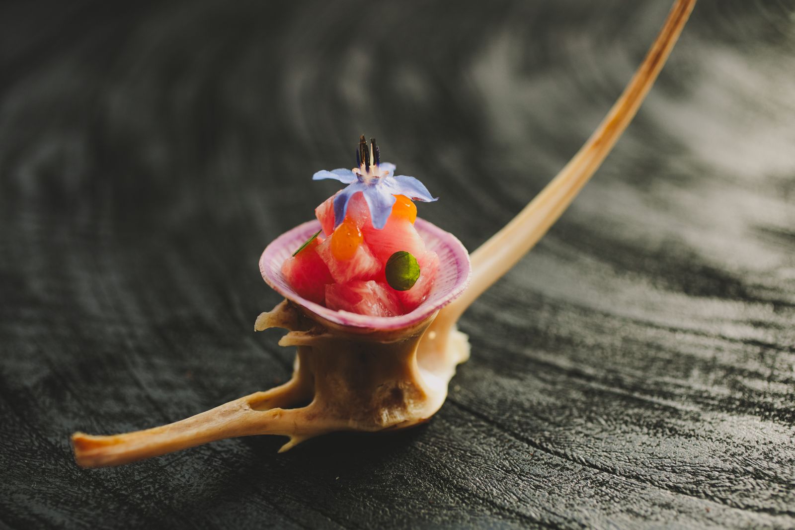 Tuna pieces in a radish on a bone like structure​​​​‌﻿‍﻿​‍​‍‌‍﻿﻿‌﻿​‍‌‍‍‌‌‍‌﻿‌‍‍‌‌‍﻿‍​‍​‍​﻿‍‍​‍​‍‌﻿​﻿‌‍​‌‌‍﻿‍‌‍‍‌‌﻿‌​‌﻿‍‌​‍﻿‍‌‍‍‌‌‍﻿﻿​‍​‍​‍﻿​​‍​‍‌‍‍​‌﻿​‍‌‍‌‌‌‍‌‍​‍​‍​﻿‍‍​‍​‍‌‍‍​‌﻿‌​‌﻿‌​‌﻿​​​﻿‍‍​‍﻿﻿​‍﻿﻿‌‍﻿​‌‍﻿﻿‌‍​﻿‌‍​‌‌‍﻿​‌‍‍​‌‍﻿﻿‌﻿​﻿‌﻿‌​​﻿‍‍​﻿​﻿​﻿​﻿​﻿​﻿​﻿​﻿​‍﻿﻿‌‍‍‌‌‍﻿‍‌﻿‌​‌‍‌‌‌‍﻿‍‌﻿‌​​‍﻿﻿‌‍‌‌‌‍‌​‌‍‍‌‌﻿‌​​‍﻿﻿‌‍﻿‌‌‍﻿﻿‌‍‌​‌‍‌‌​﻿﻿‌‌﻿​​‌﻿​‍‌‍‌‌‌﻿​﻿‌‍‌‌‌‍﻿‍‌﻿‌​‌‍​‌‌﻿‌​‌‍‍‌‌‍﻿﻿‌‍﻿‍​﻿‍﻿‌‍‍‌‌‍‌​​﻿﻿‌‌‍​‌‌‍‌​​﻿‌​‌‍‌‍​﻿‌﻿​﻿‌​‌‍​‌‌‍​‌​‍﻿‌​﻿​​​﻿‌﻿​﻿‌‌​﻿‌﻿​‍﻿‌​﻿‌​​﻿‌﻿‌‍‌‍​﻿‍‌​‍﻿‌‌‍​‍​﻿​​‌‍‌‌‌‍‌​​‍﻿‌​﻿​​​﻿‍​‌‍​﻿​﻿​​​﻿‌​‌‍‌‍‌‍​‌​﻿‍‌​﻿‌‍‌‍‌​​﻿‌‍​﻿​‍​﻿‍﻿‌﻿‌​‌﻿‍‌‌﻿​​‌‍‌‌​﻿﻿‌‌﻿​​‌‍﻿﻿‌﻿​﻿‌﻿‌​​﻿‍﻿‌﻿​​‌‍​‌‌﻿‌​‌‍‍​​﻿﻿‌‌‍﻿‌‌‍​‌‌‍‍‌‌‍﻿‍‌​‍‌‌‍﻿‌‌‍​‌‌‍‌﻿‌‍‌‌​‍﻿‍‌‍​‌‌‍﻿​‌﻿‌​​﻿﻿﻿‌‍​‍‌‍​‌‌﻿​﻿‌‍‌‌‌‌‌‌‌﻿​‍‌‍﻿​​﻿﻿‌‌‍‍​‌﻿‌​‌﻿‌​‌﻿​​​‍‌‌​﻿​﻿‌​​‌​‍‌‌​﻿​‍‌​‌‍​‍‌‌​﻿​‍‌​‌‍‌‍﻿​‌‍﻿﻿‌‍​﻿‌‍​‌‌‍﻿​‌‍‍​‌‍﻿﻿‌﻿​﻿‌﻿‌​​‍‌‌​﻿​﻿‌​​‌​﻿​﻿​﻿​﻿​﻿​﻿​﻿​﻿​‍‌‍‌‍‍‌‌‍‌​​﻿﻿‌‌‍​‌‌‍‌​​﻿‌​‌‍‌‍​﻿‌﻿​﻿‌​‌‍​‌‌‍​‌​‍﻿‌​﻿​​​﻿‌﻿​﻿‌‌​﻿‌﻿​‍﻿‌​﻿‌​​﻿‌﻿‌‍‌‍​﻿‍‌​‍﻿‌‌‍​‍​﻿​​‌‍‌‌‌‍‌​​‍﻿‌​﻿​​​﻿‍​‌‍​﻿​﻿​​​﻿‌​‌‍‌‍‌‍​‌​﻿‍‌​﻿‌‍‌‍‌​​﻿‌‍​﻿​‍​‍‌‍‌﻿‌​‌﻿‍‌‌﻿​​‌‍‌‌​﻿﻿‌‌﻿​​‌‍﻿﻿‌﻿​﻿‌﻿‌​​‍‌‍‌﻿​​‌‍​‌‌﻿‌​‌‍‍​​﻿﻿‌‌‍﻿‌‌‍​‌‌‍‍‌‌‍﻿‍‌​‍‌‌‍﻿‌‌‍​‌‌‍‌﻿‌‍‌‌​‍﻿‍‌‍​‌‌‍﻿​‌﻿‌​​‍​‍‌﻿﻿‌