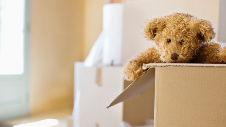 Van peuterhuis naar pubernest