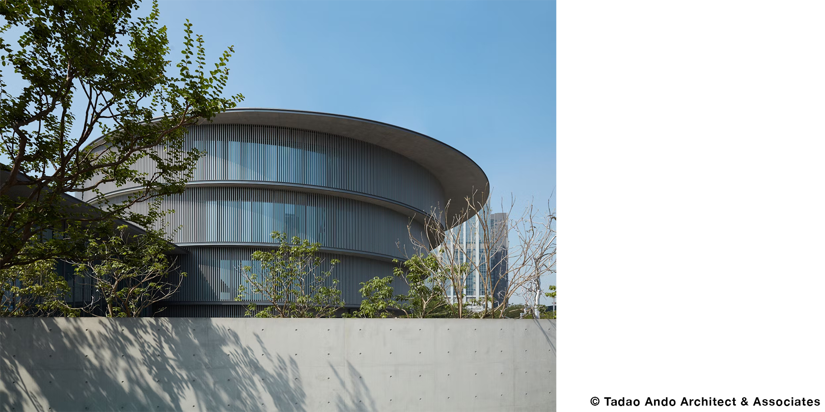 © Tadao Ando Architect & Associates