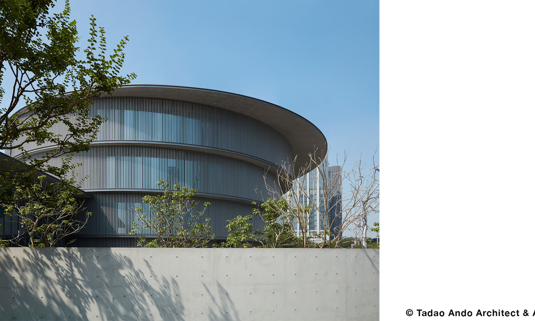 © Tadao Ando Architect & Associates