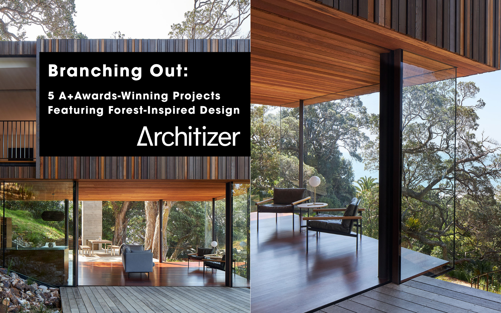 Branching Out: 5 A+Awards-Winning Projects Featuring Forest-Inspired Design