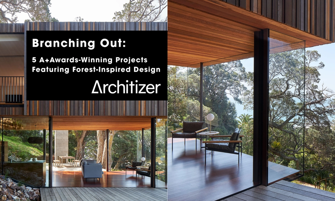 Branching Out: 5 A+Awards-Winning Projects Featuring Forest-Inspired Design