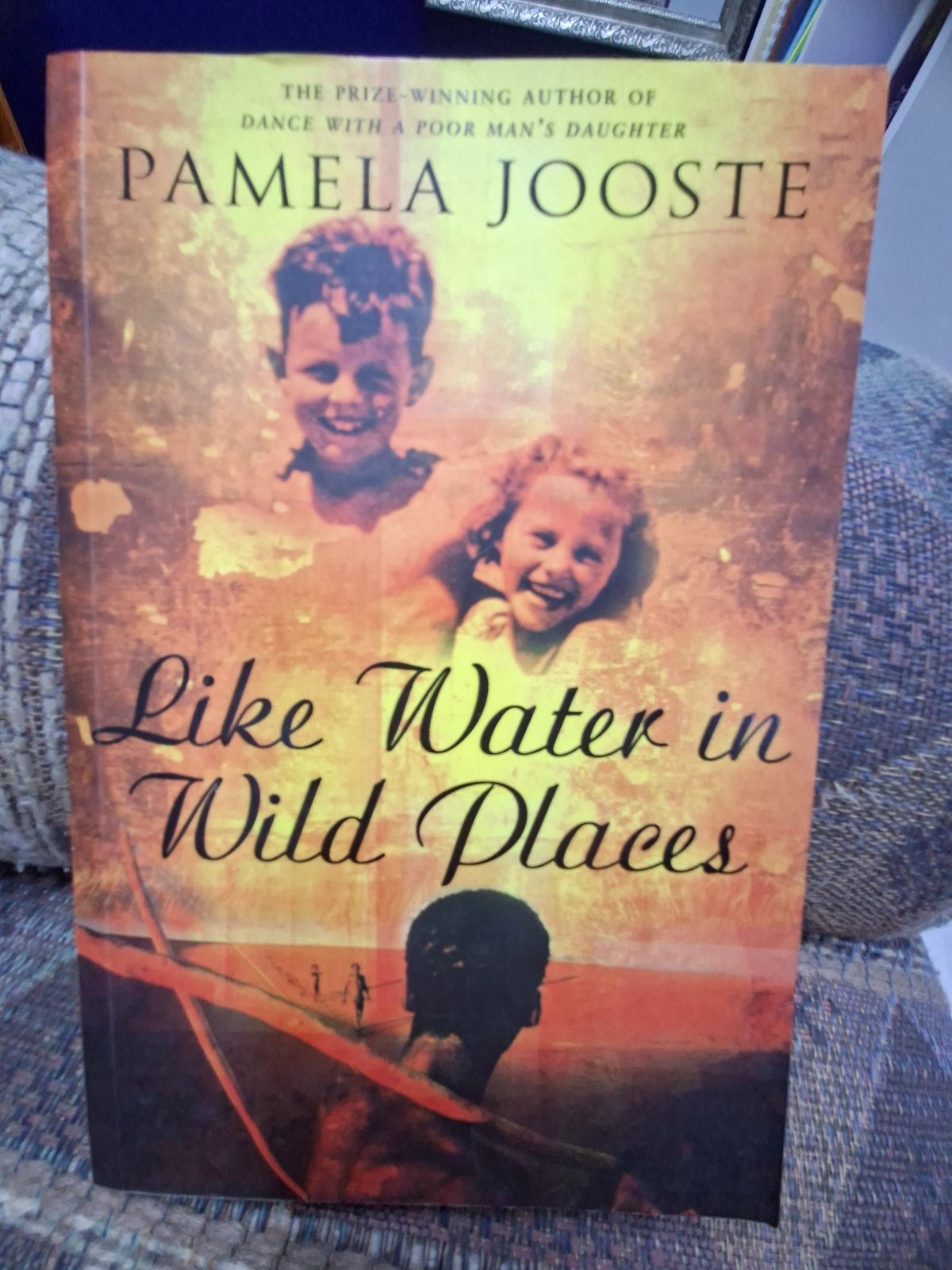 Like Water In Wild Places Book