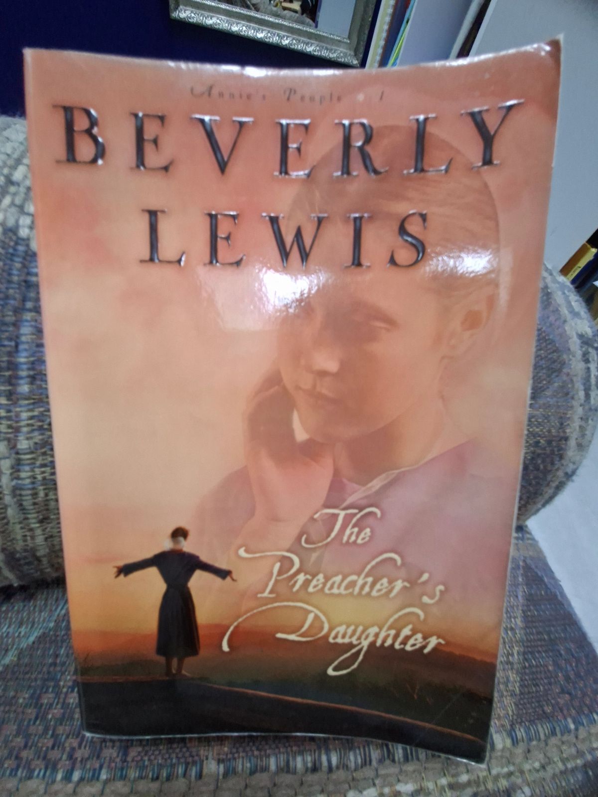 The Preacher's Daughter Book