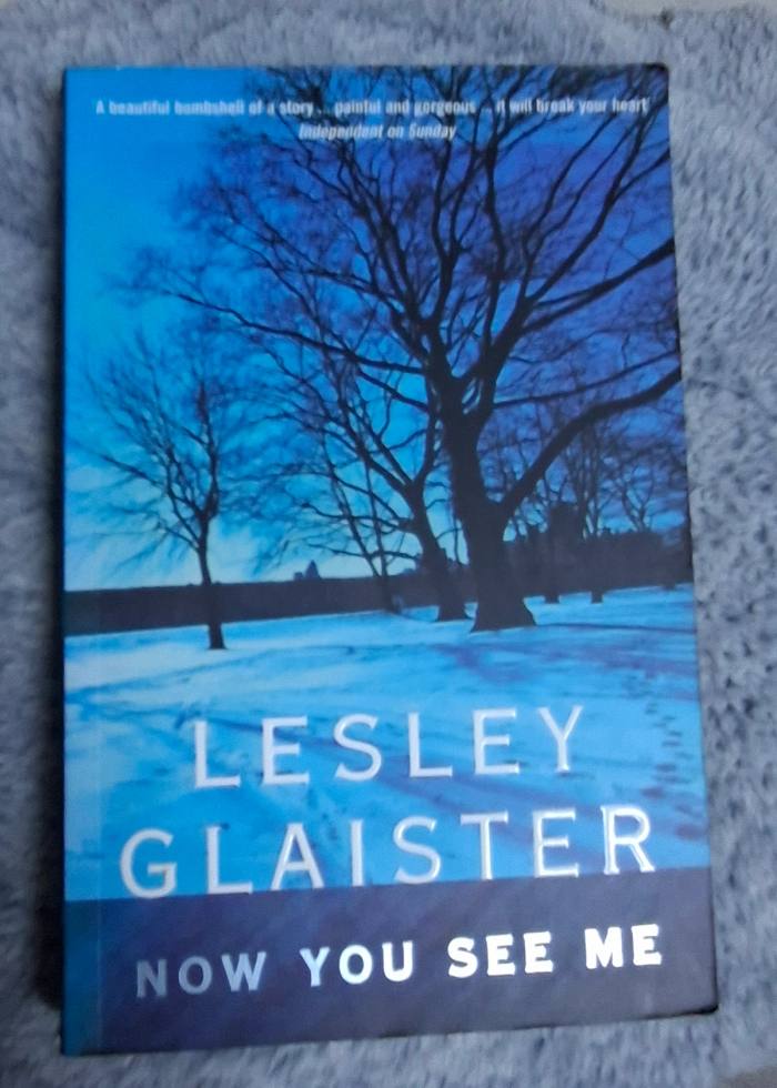 Now You See Me by Lesley Glaister