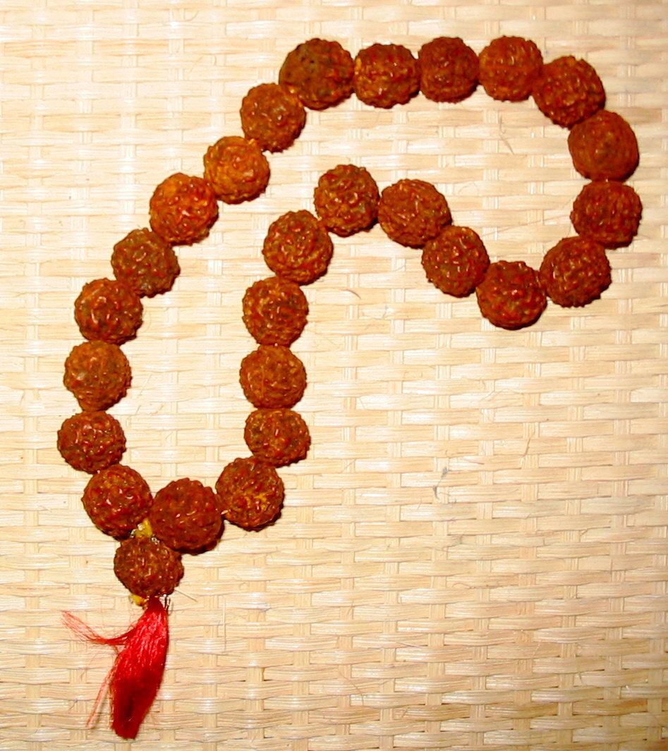 9 Mukhi Rudraksha (Power & Protection)