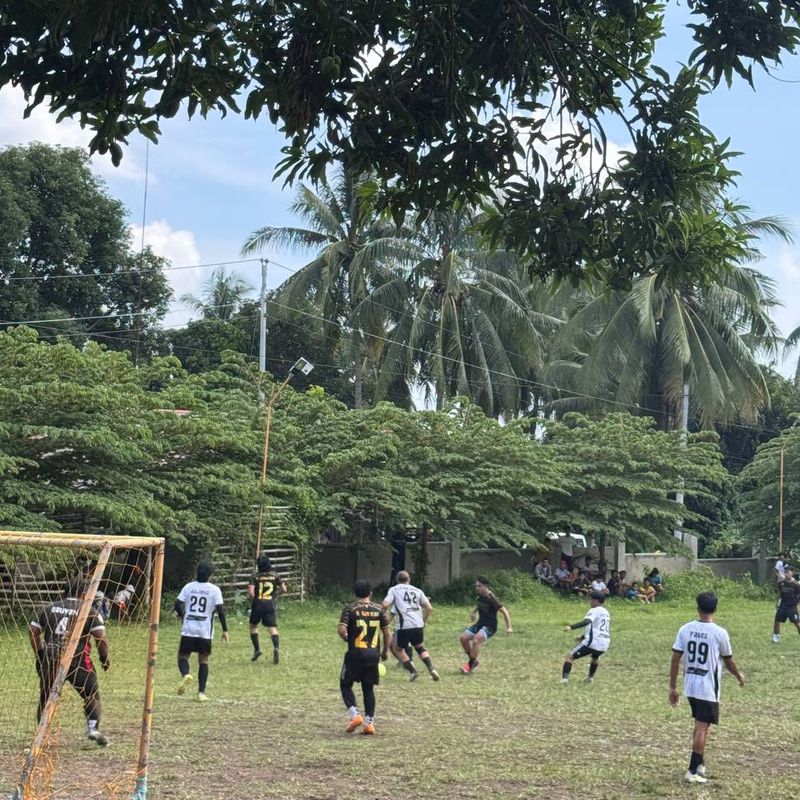 undefined - image 13