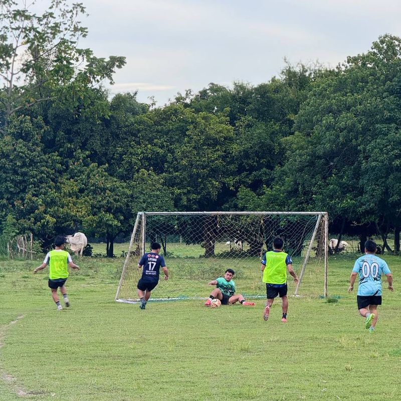 undefined - image 25