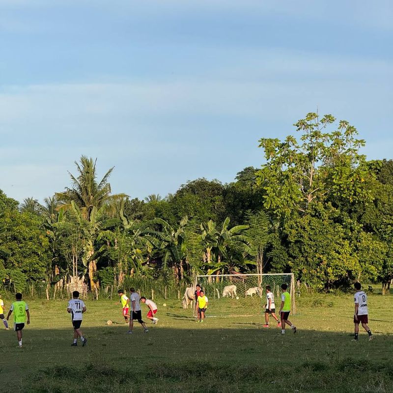 undefined - image 22