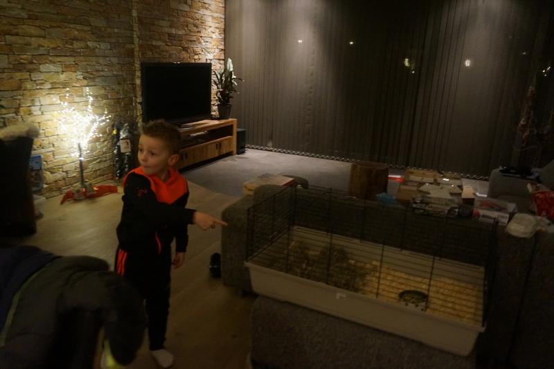 Sven en Tess hebben 2 cavia's