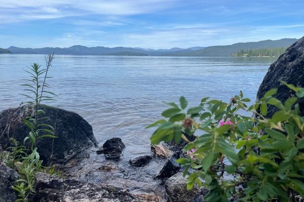 At the lake with rocks and flowers on the shore and hills in the background.