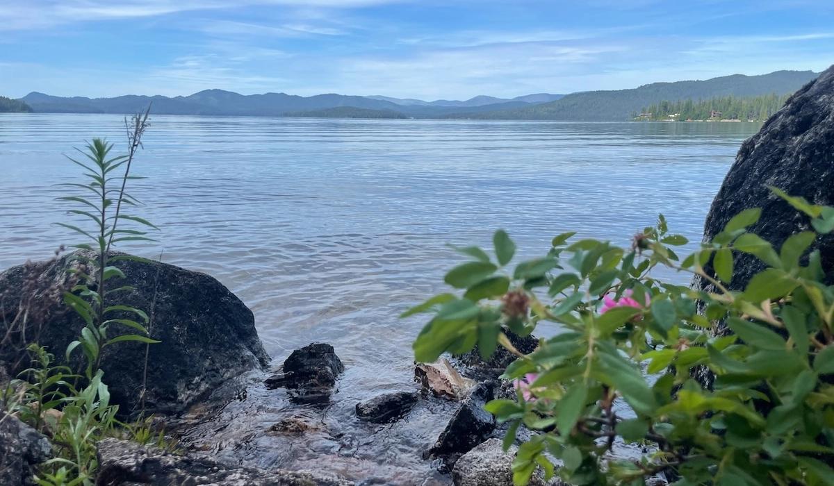 At the lake with rocks and flowers on the shore and hills in the background.
