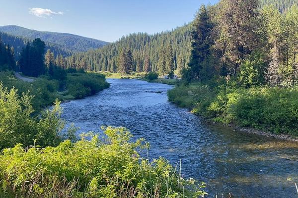 Mid-Year Reset – Reflect, Refocus, &amp; Realign