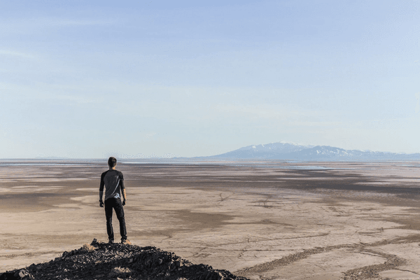Person standing in a field of sunflowers