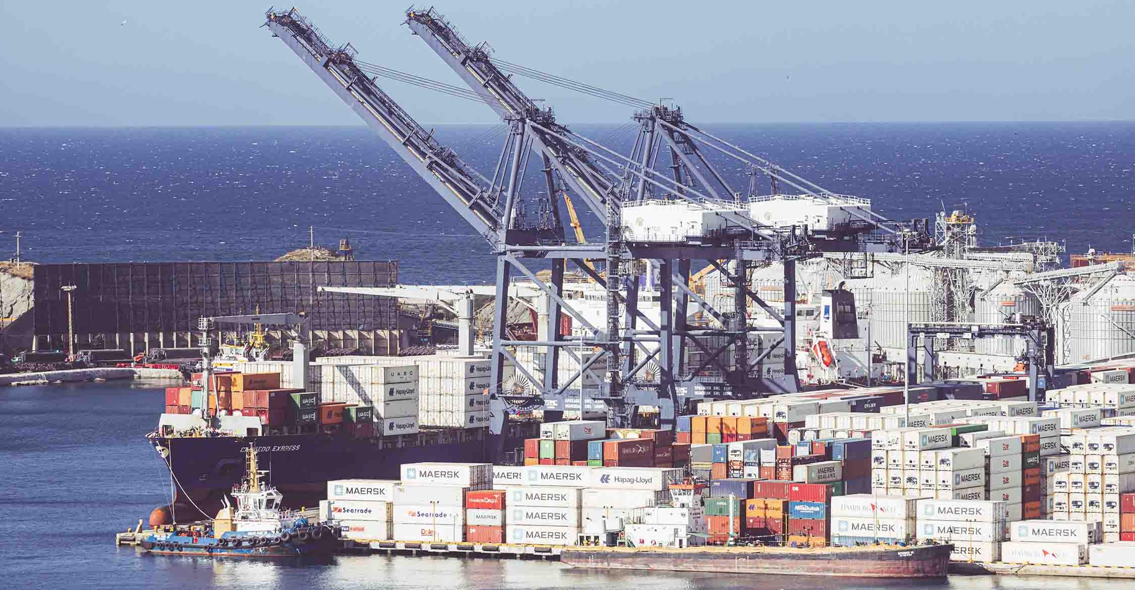 Port in the red sea supply chain