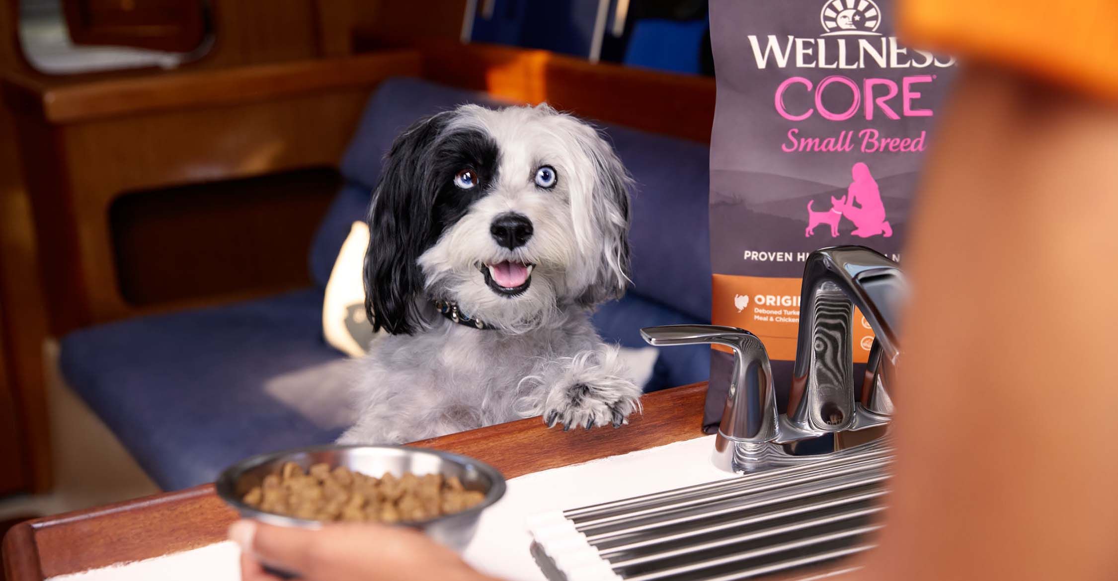 Wellness Pet Meets Demand with a Scalable Supply Chain