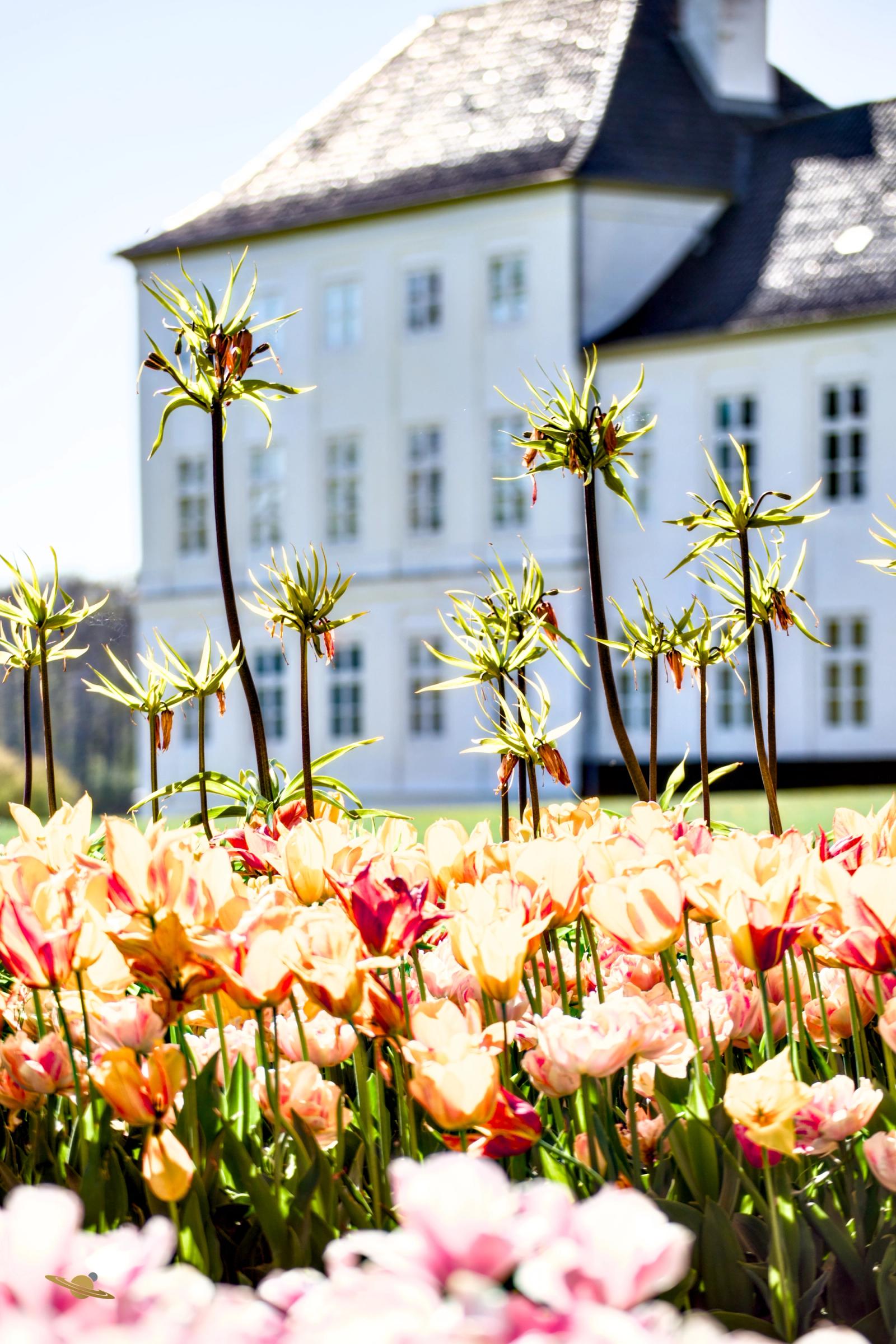 Gråsten Forårstur