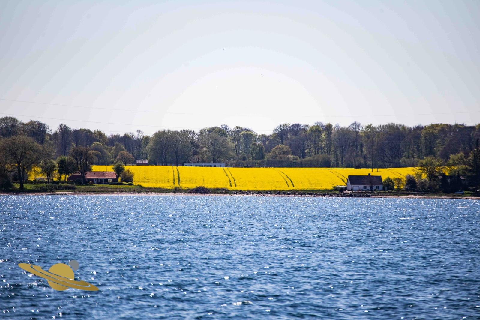 Dyvig - Sønderborg