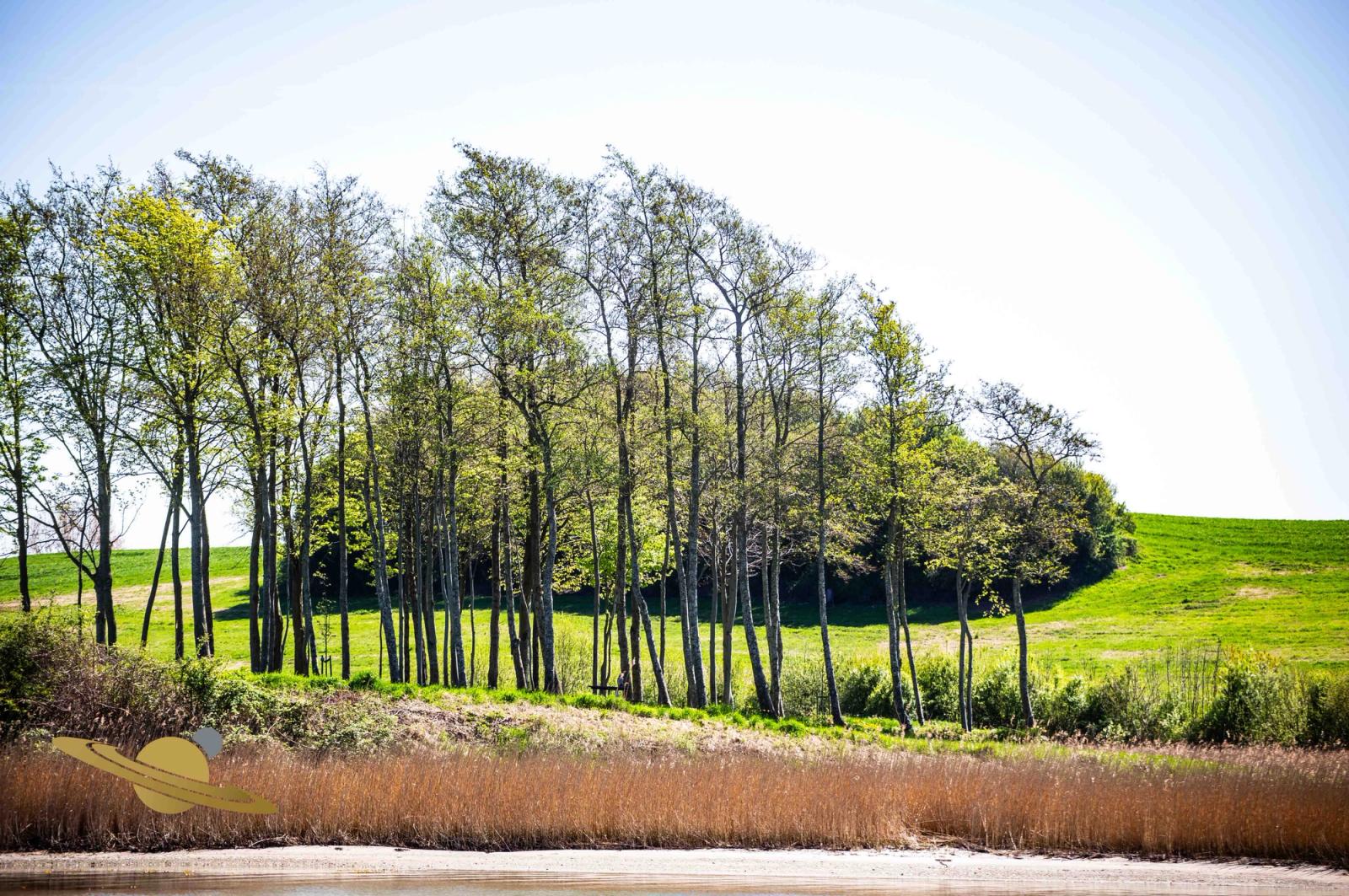 Dyvig - Sønderborg