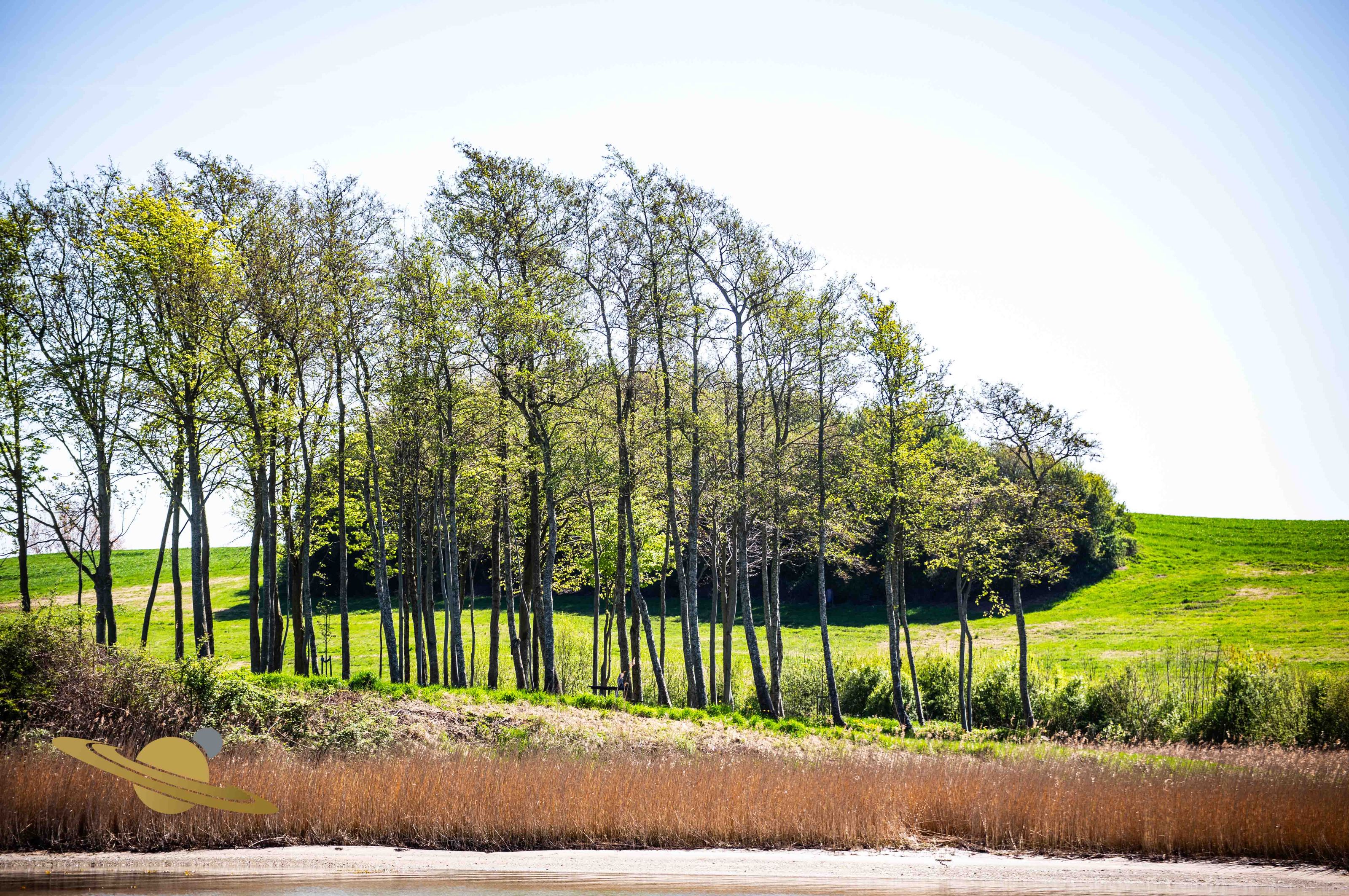 Dyvig - Sønderborg